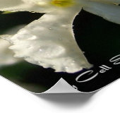 白001 ポスター (角)