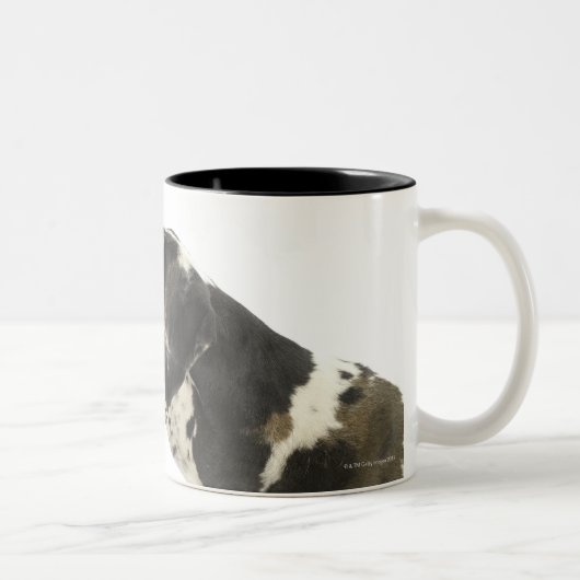 白11の犬 ツートーンマグカップ (右)