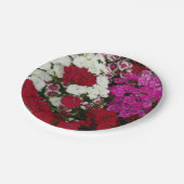 白、ピンク、赤のディアンサスフローラ ペーパープレート (アングル)