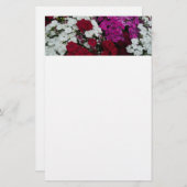 白、ピンク、赤のディアンサスフローラ 便箋 (正面/裏面)