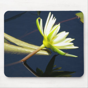 白《植物》スイレン マウスパッド