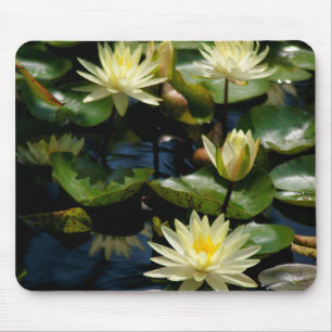 白《植物》スイレン マウスパッド