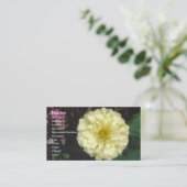 白《植物》百日草 名刺 (スタンド正面)