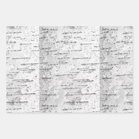 白、樺の木の樹皮の写真 ラッピングペーパーシート (正面3)