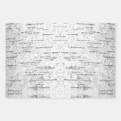 白、樺の木の樹皮の写真 ラッピングペーパーシート (正面)