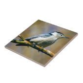 白Breasted精神病院の陶磁器の写真のタイル タイル (側面)