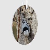 白breasted精神病院 オーナメント (正面)