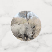 白Rhino コンフェッティ (スモール正面)