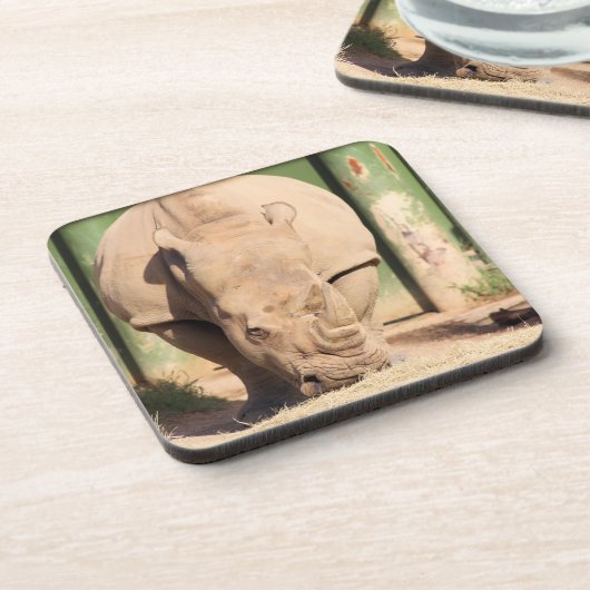 白Rhino コースター (左側)
