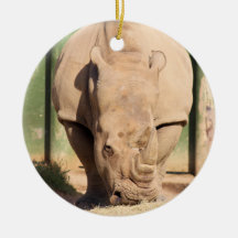白Rhino