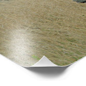 白Rhino フォトプリント (角)