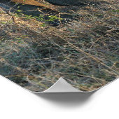 白Rhino ポスター (角)