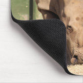 白Rhino マウスパッド (コーナー)