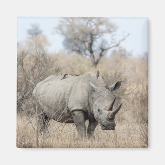 白Rhino マグネット