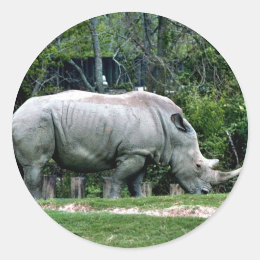 白Rhino ラウンドシール (正面)