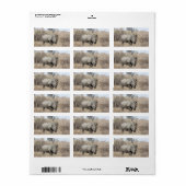 白Rhino ラベル (フルシート)