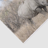 白Rhino 薄葉紙 (詳細)