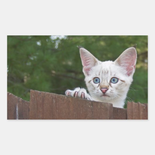 白Savannah Cat長方形ステッカー 長方形シール (正面)