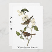 白throatedすずめ-ジョンAudubon 招待状 (正面/裏面)