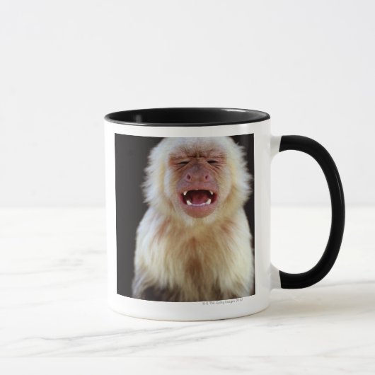 白throated capuchin (Cebusのcapucinus) マグカップ (右)