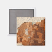 百七インフルエンザNY、NJ、ニューイングランド マグネット (正面/裏面)