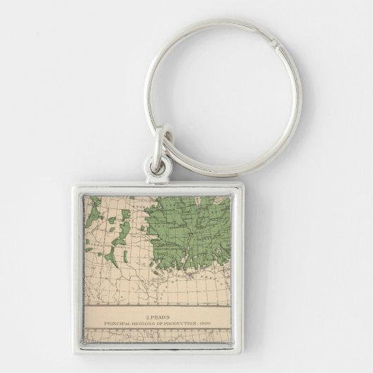 百七十四リンゴ、梨、主たる地域 キーホルダー (正面)