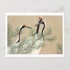 百代ヶ佐の鶴 ポストカード