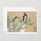 百代ヶ佐の鶴 ポストカード (正面/裏面)