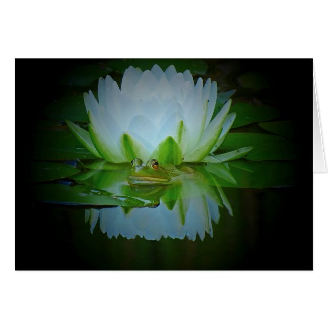 百合蛙 (正面横)