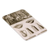 百科事典より理髪店と理容師用具 マグネット (右側)