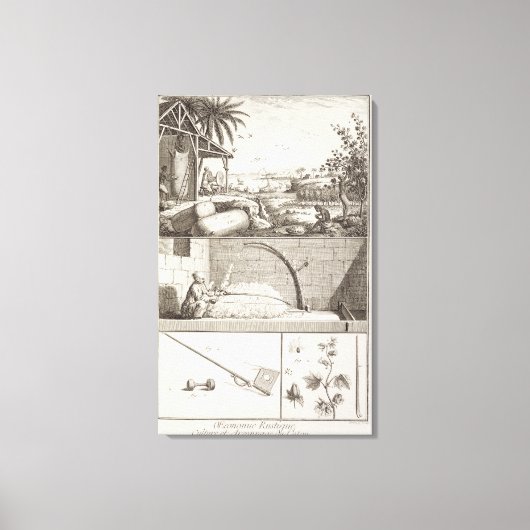 「百科事典」からの綿花の栽培 キャンバスプリント (正面)