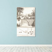 「百科事典」からの綿花の栽培 キャンバスプリント (インサイチュ (ウッドフロア))