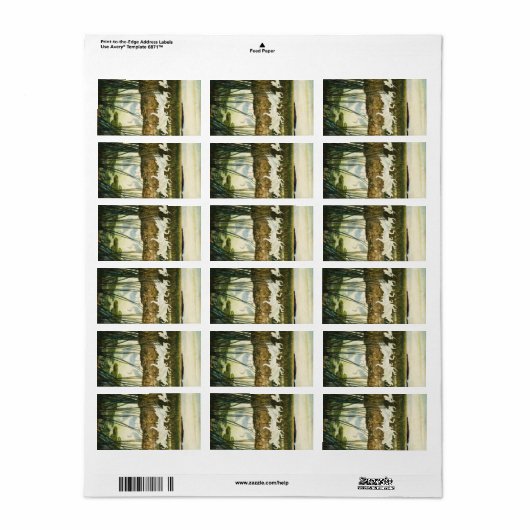 百羽鶴の踊り， 1939年N. C. Wyeth ラベル (フルシート)