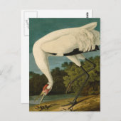 百羽鶴オードボン絵画ズ ポストカード (正面/裏面)