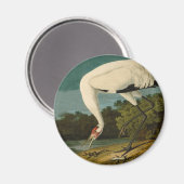 百羽鶴オードボン絵画ズ マグネット (正面/裏面)