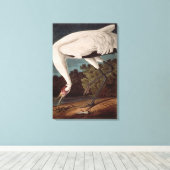 百羽鶴、『アメリカの鳥』より キャンバスプリント (インサイチュ (ウッドフロア))