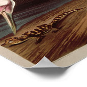 百羽鶴、『アメリカの鳥』より ポスター (角)