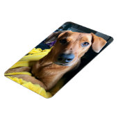 皆さん マグネット (左側)