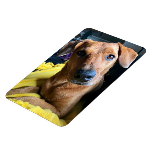 皆さん マグネット (左側)