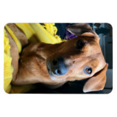 皆さん マグネット (横)