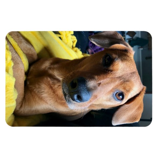 皆さん マグネット (横)