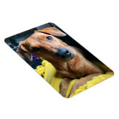 皆さん マグネット (右側)