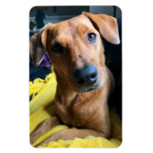 皆さん マグネット (縦)