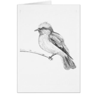 皆を注意つかまえるかわいい鳥