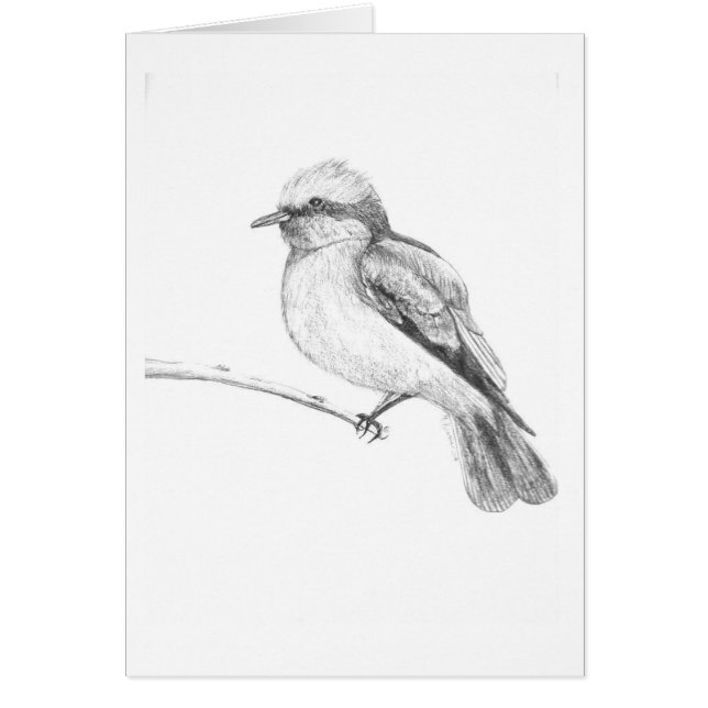 皆を注意つかまえるかわいい鳥 (正面)