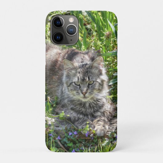 皆既日食の猫 Case-Mate iPhoneケース (裏)