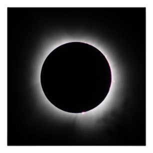 皆既食太陽の2024年4月8日 ポスター