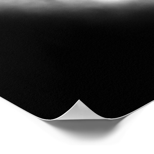 皆既食 ポスター (角)