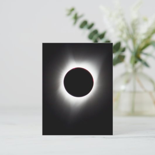 皆既食 ポストカード (スタンド正面)