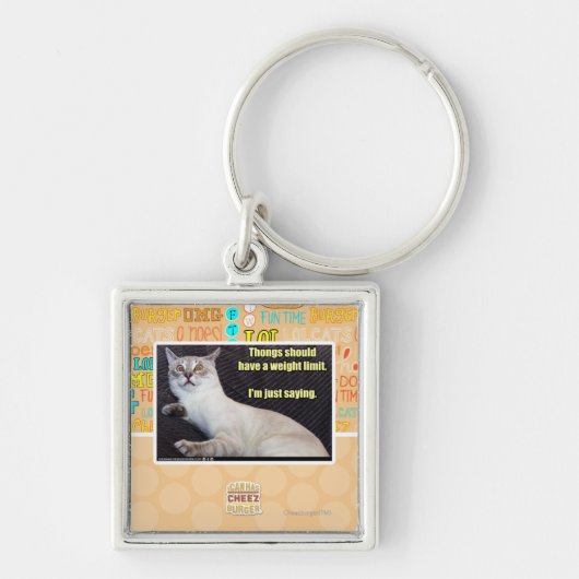 皮ひもに重量の限界があるべきです キーホルダー (正面)